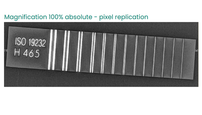 Magnification 100% absolute - pixel replication