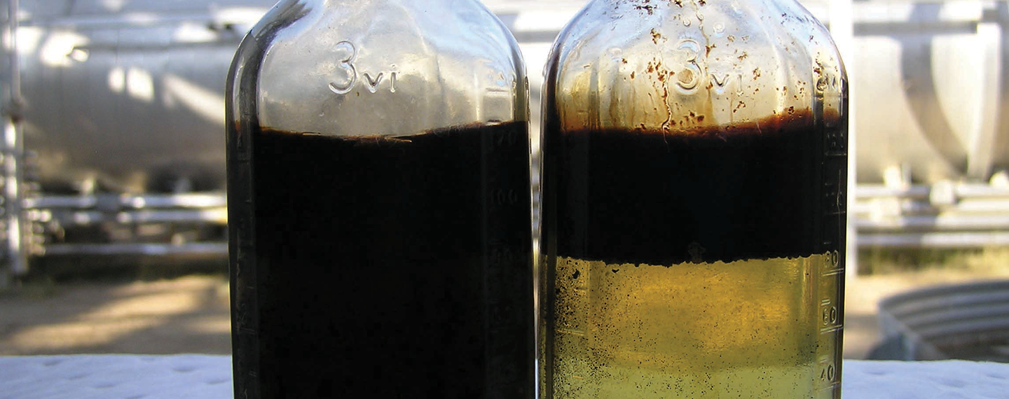 photo of two bottles with oil separation