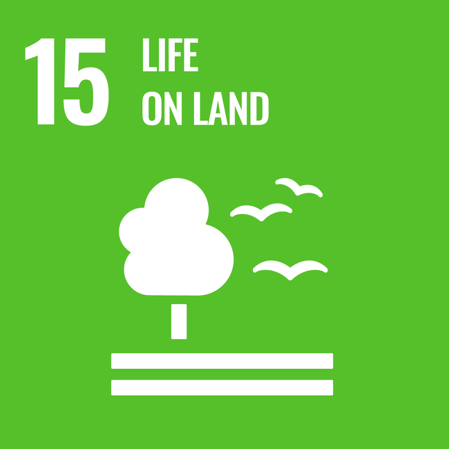 UN SDG 15.4